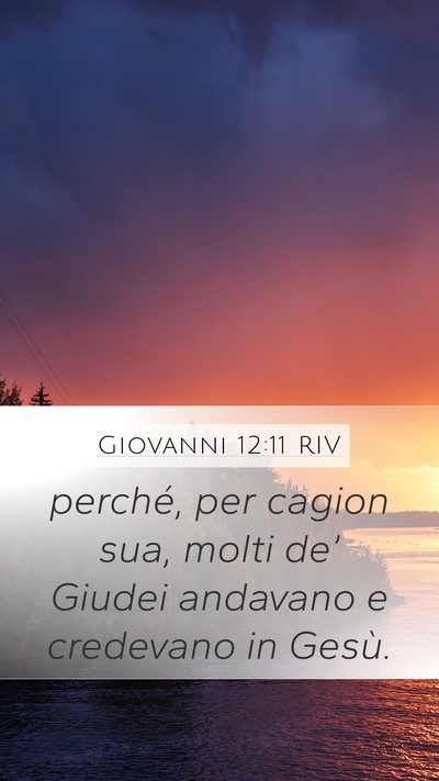 Giovanni 12:11 RIV Mobile Phone Wallpaper - perché, per cagion sua, molti de’ Giudei - Mobile Bible Verse Wallpaper