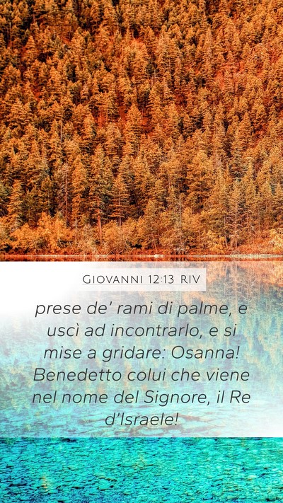 Giovanni 12:13 RIV Bible Verse Image