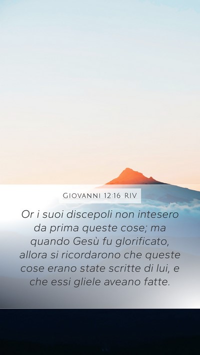 Giovanni 12:16 RIV Bible Verse Image