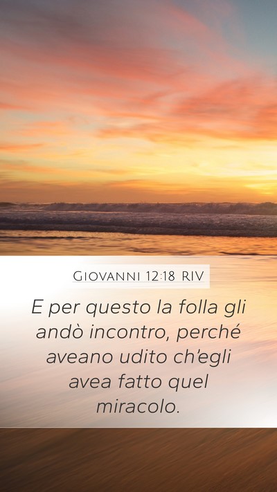 Giovanni 12:18 RIV Bible Verse Image