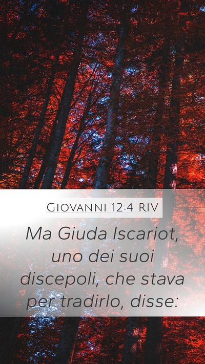 Giovanni 12:4 RIV Bible Verse Image