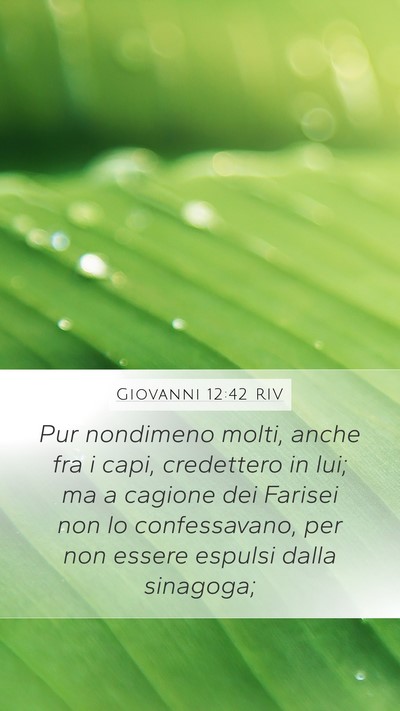 Giovanni 12:42 RIV Bible Verse Image