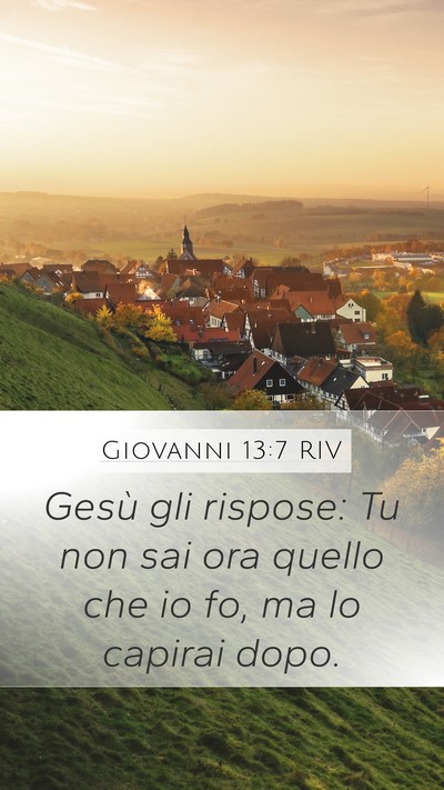 Giovanni 13:7 RIV Bible Verse Image