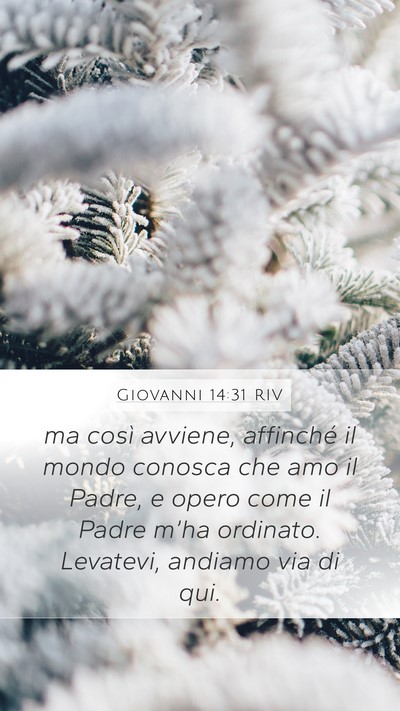 Giovanni 14:31 RIV Bible Verse Image