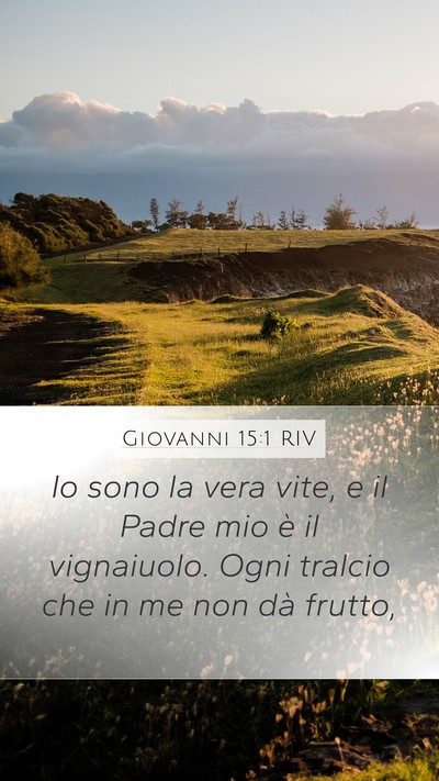 Giovanni 15:1 RIV Bible Verse Image