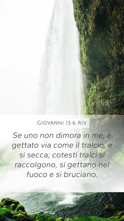 Giovanni 15:6 RIV Bible Verse Image