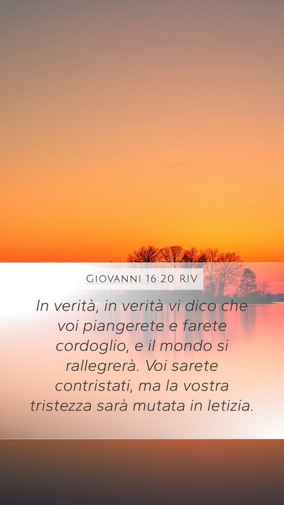 Giovanni 16:20 RIV Bible Verse Image