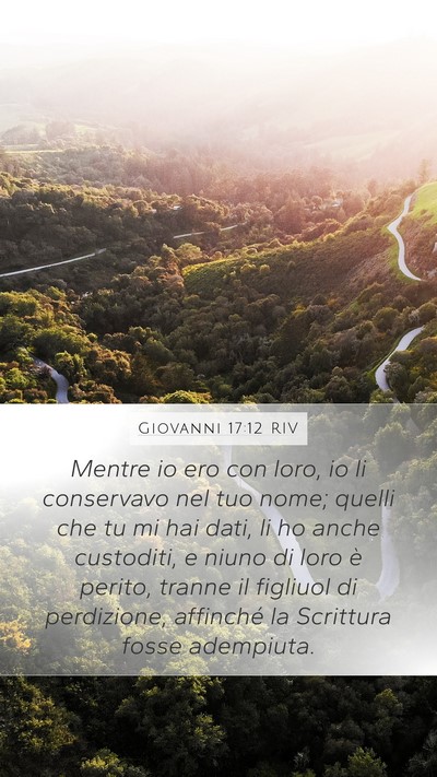 Giovanni 17:12 RIV Bible Verse Image