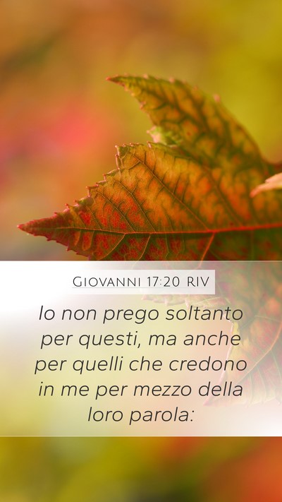 Giovanni 17:20 RIV Bible Verse Image