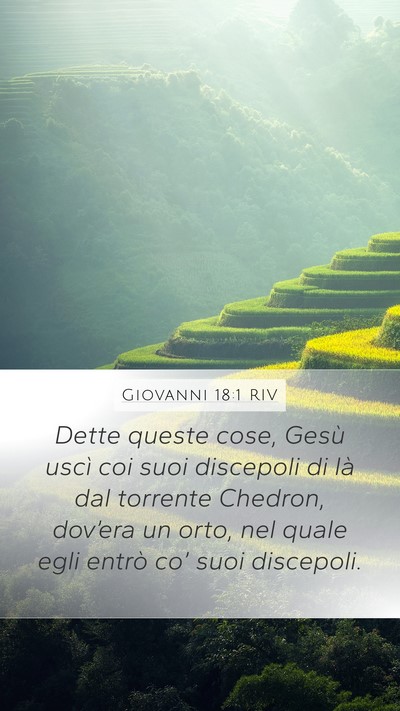 Giovanni 18:1 RIV Mobile Phone Wallpaper - Dette queste cose, Gesù uscì coi suoi discepoli - Mobile Bible Verse Wallpaper