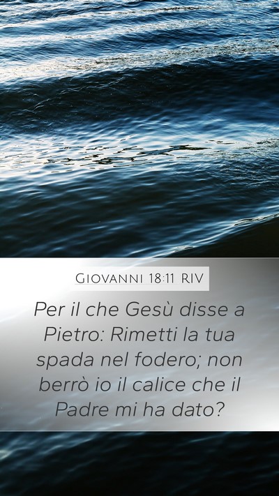 Giovanni 18:11 RIV Bible Verse Image