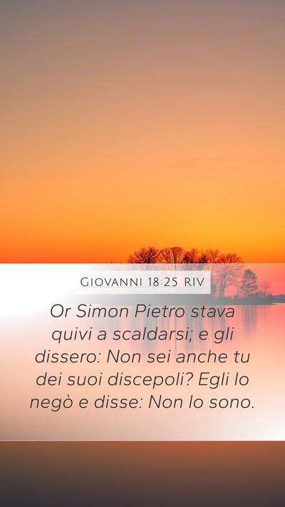 Giovanni 18:25 RIV Bible Verse Image