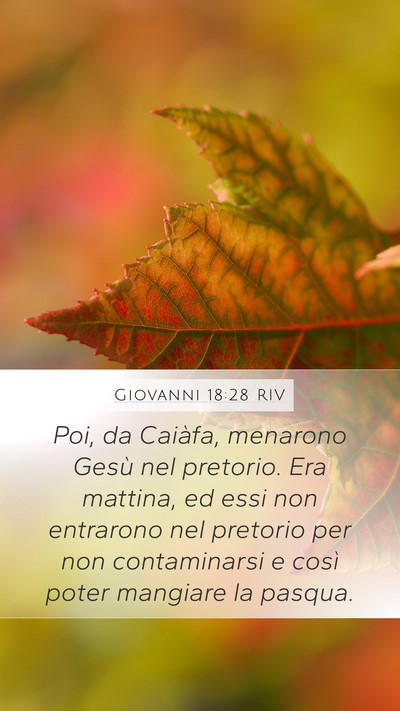 Giovanni 18:28 RIV Bible Verse Image