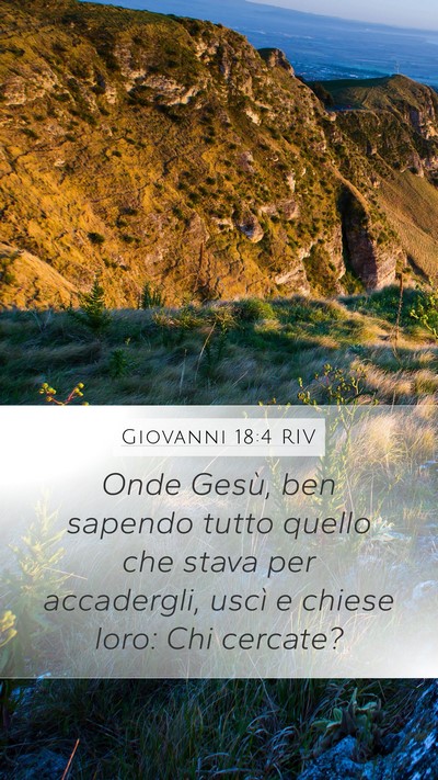 Giovanni 18:4 RIV Bible Verse Image