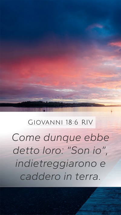 Giovanni 18:6 RIV Bible Verse Image