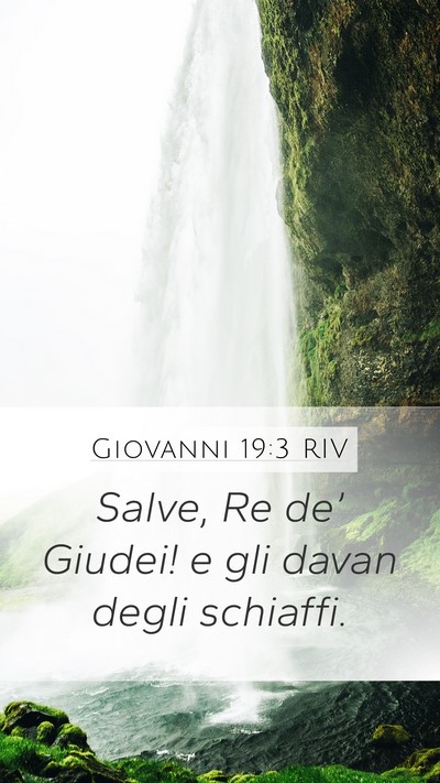 Giovanni 19:3 RIV Bible Verse Image