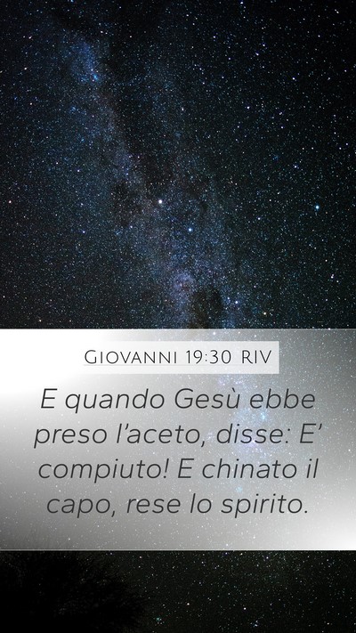 Giovanni 19:30 RIV Bible Verse Image