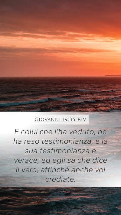 Giovanni 19:35 RIV Bible Verse Image