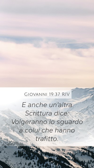 Giovanni 19:37 RIV Bible Verse Image