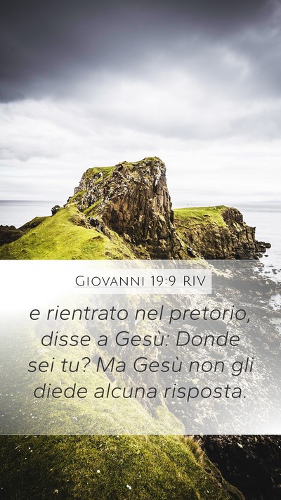 Giovanni 19:9 RIV Bible Verse Image