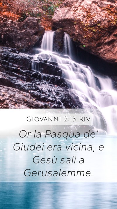 Giovanni 2:13 RIV Bible Verse Image