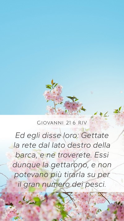 Giovanni 21:6 RIV Bible Verse Image