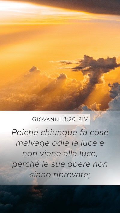 Giovanni 3:20 RIV Bible Verse Image