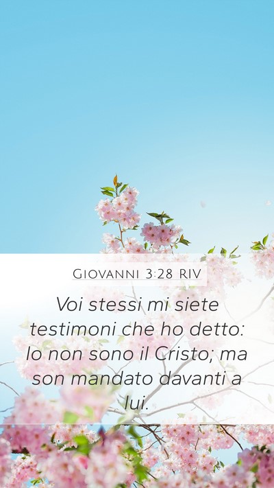 Giovanni 3:28 RIV Bible Verse Image