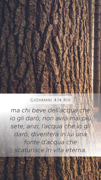 Giovanni 4:14 RIV Bible Verse Image