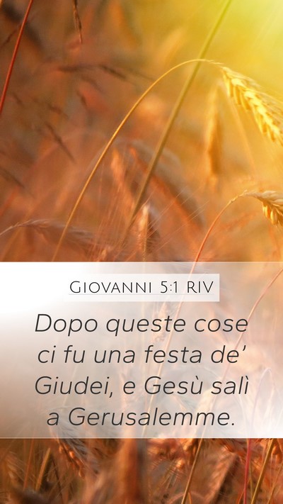Giovanni 5:1 RIV Mobile Phone Wallpaper - Dopo queste cose ci fu una festa de’ Giudei, e - Mobile Bible Verse Wallpaper