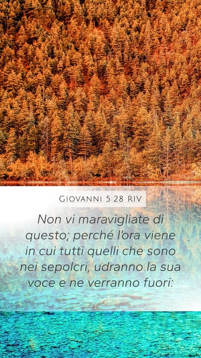Giovanni 5:28 RIV Bible Verse Image