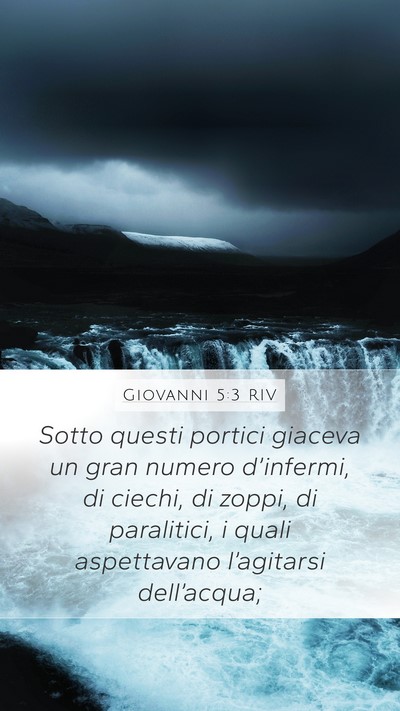 Giovanni 5:3 RIV Bible Verse Image