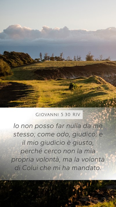 Giovanni 5:30 RIV Bible Verse Image