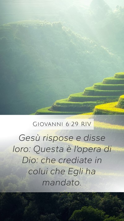 Giovanni 6:29 RIV Bible Verse Image
