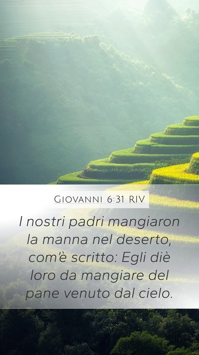 Giovanni 6:31 RIV Bible Verse Image