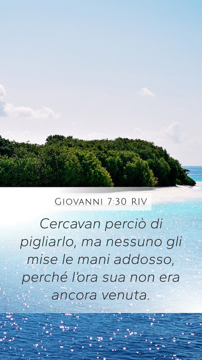 Giovanni 7:30 RIV Bible Verse Image