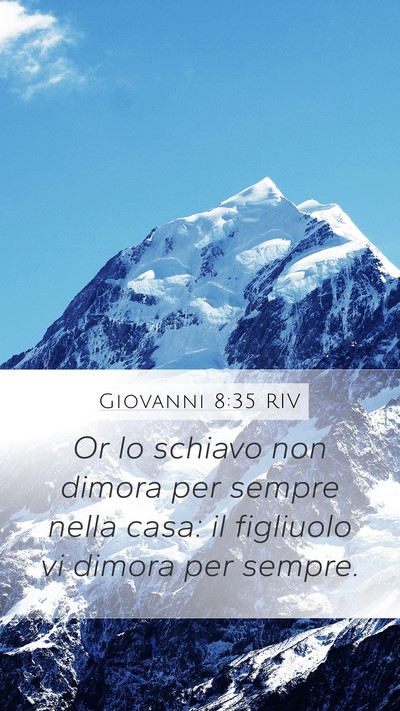 Giovanni 8:35 RIV Bible Verse Image
