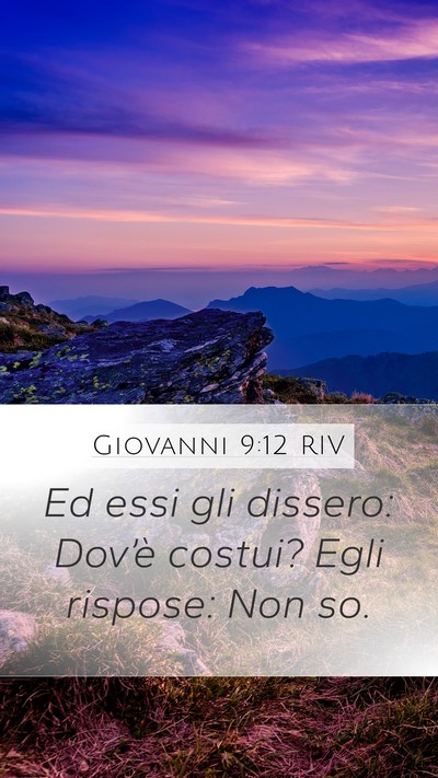 Giovanni 9:12 RIV Mobile Phone Wallpaper - Ed essi gli dissero: Dov’è costui? Egli - Mobile Bible Verse Wallpaper