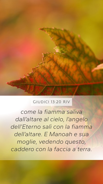 Giudici 13:20 RIV Bible Verse Image