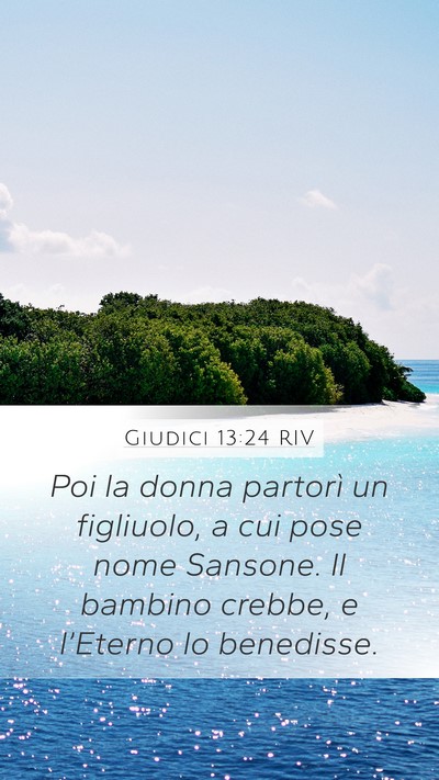 Giudici 13:24 RIV Bible Verse Image