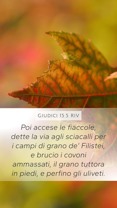 Giudici 15:5 RIV Mobile Phone Wallpaper - Poi accese le fiaccole, dette la via agli - Mobile Bible Verse Wallpaper