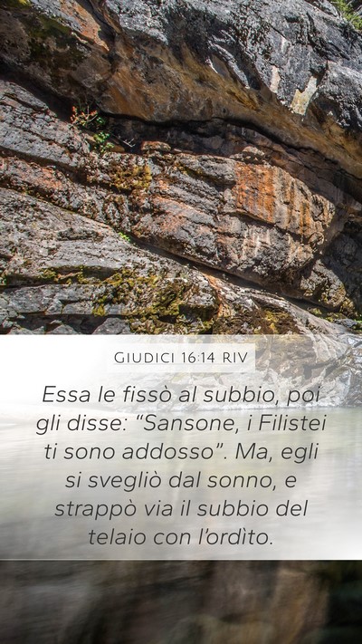 Giudici 16:14 RIV Bible Verse Image