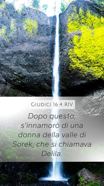 Giudici 16:4 RIV Bible Verse Image