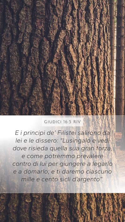 Giudici 16:5 RIV Mobile Phone Wallpaper - E i principi de’ Filistei salirono da lei e le - Mobile Bible Verse Wallpaper