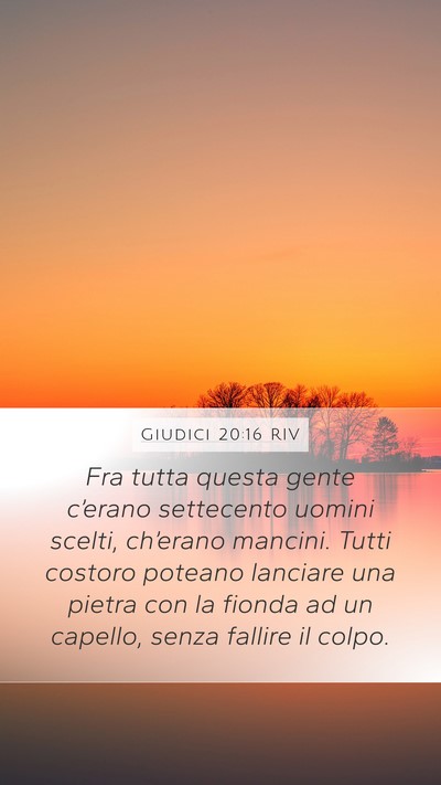 Giudici 20:16 RIV Bible Verse Image