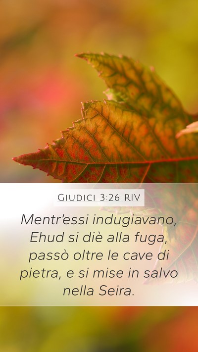 Giudici 3:26 RIV Bible Verse Image