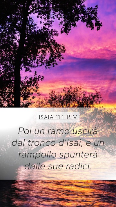 Isaia 11:1 RIV Bible Verse Image
