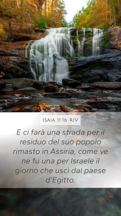 Isaia 11:16 RIV Bible Verse Image