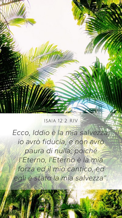 Isaia 12:2 RIV Bible Verse Image
