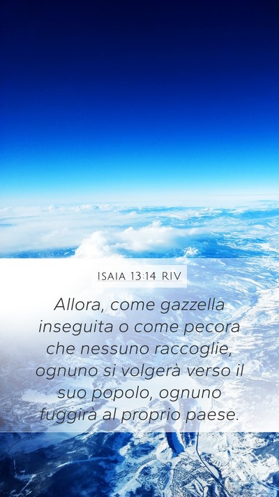 Isaia 13:14 RIV Mobile Phone Wallpaper - Allora, come gazzella inseguita o come pecora che - Mobile Bible Verse Wallpaper